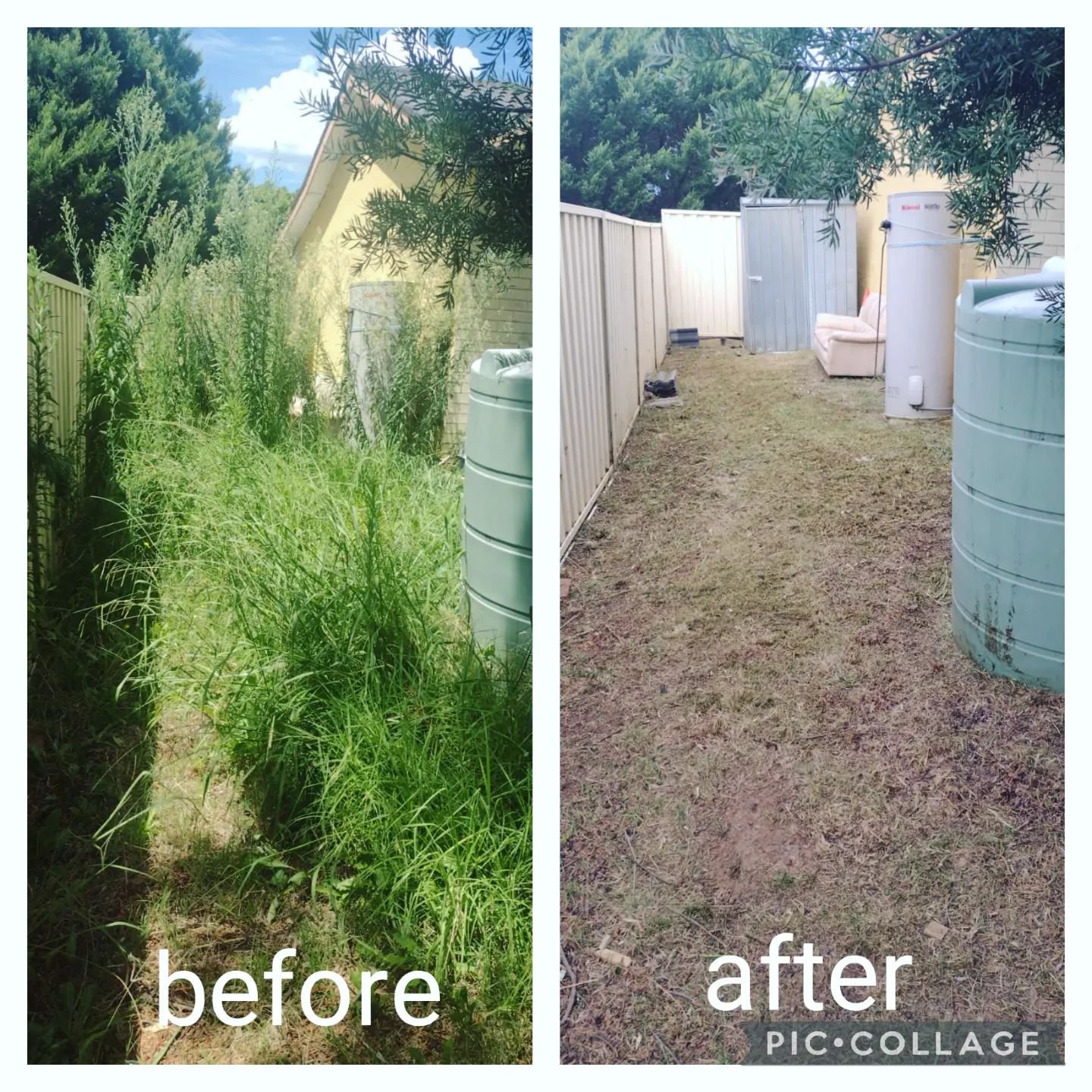 Home Side yard garden clean-up before and after
