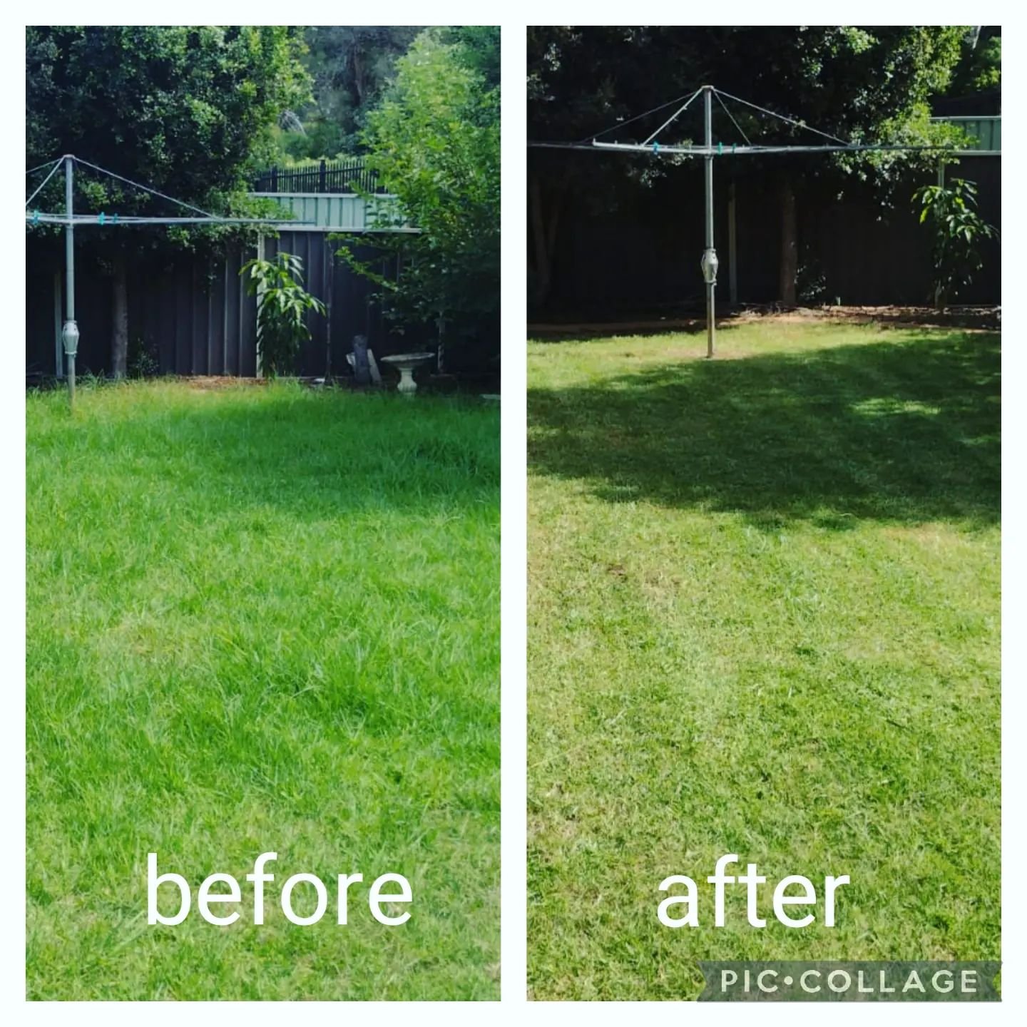 Home Front lawn mowing before and after