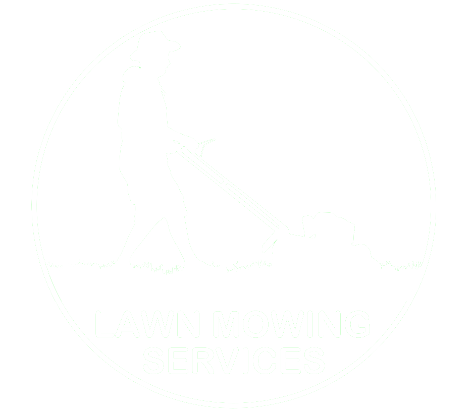 logo n