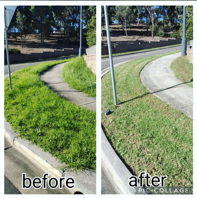 Home Side path weed removal before and after