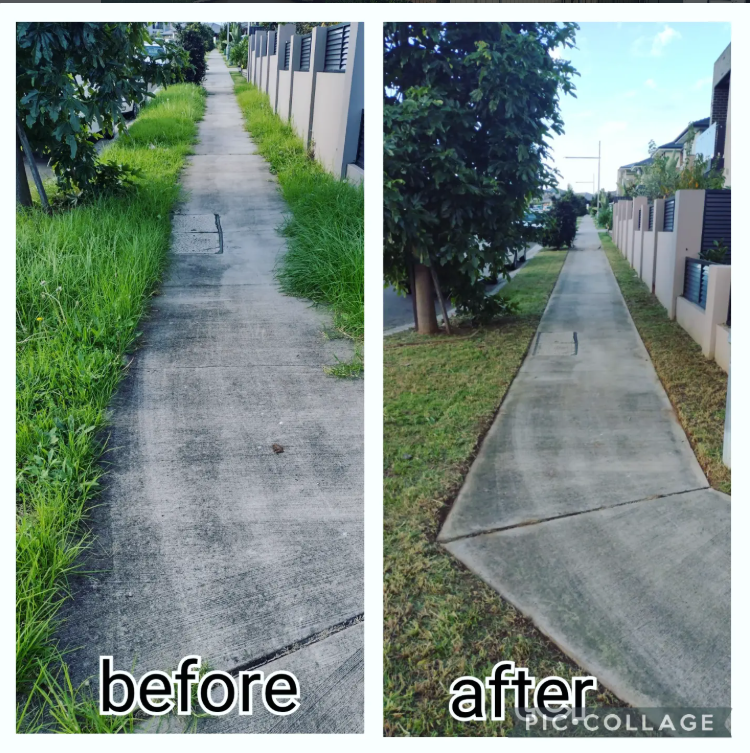 Home Hedge and garden bed reshaping before and after