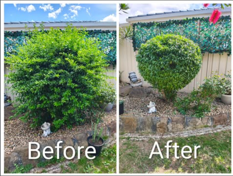 Home Overgrown footpath verge and neatly edged lawn before and after